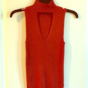 Express sweater sleeveless top